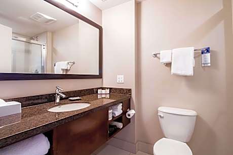 Suite-1 King Bed Non-Smoking Sofabed Microwave And Refrigerator Wi-Fi Full Breakfast