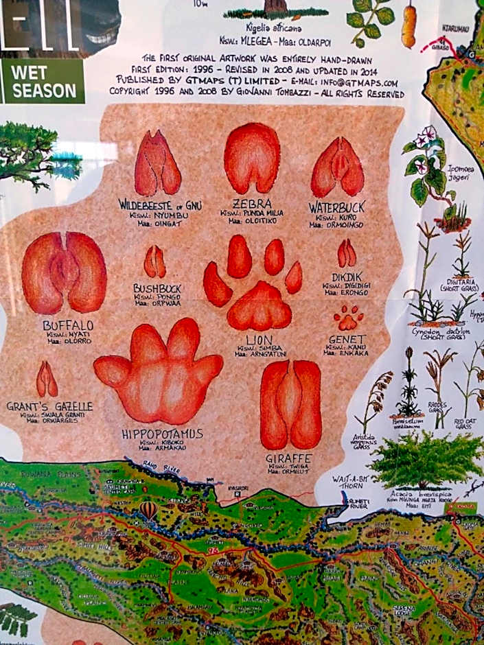 Seronera Wildlife Lodge