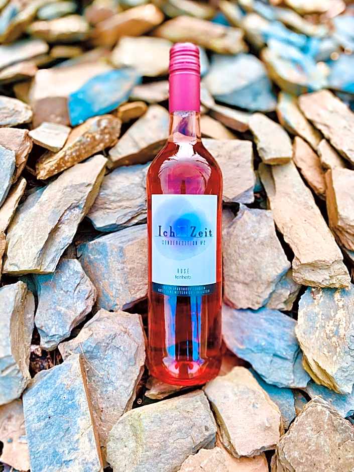 Hotel Haus Burg Metternich