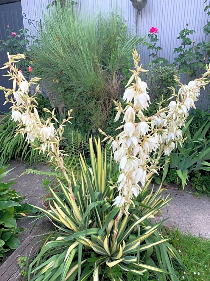 Dom’s Garden – Livarot, NY