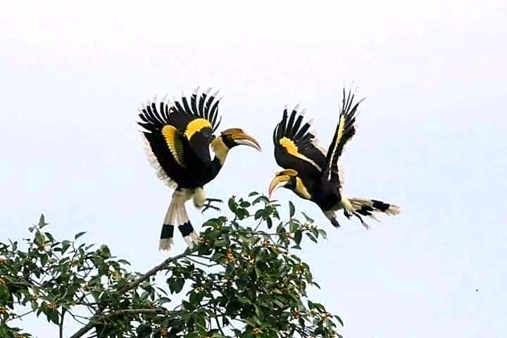 Khaosok Secret Hostel