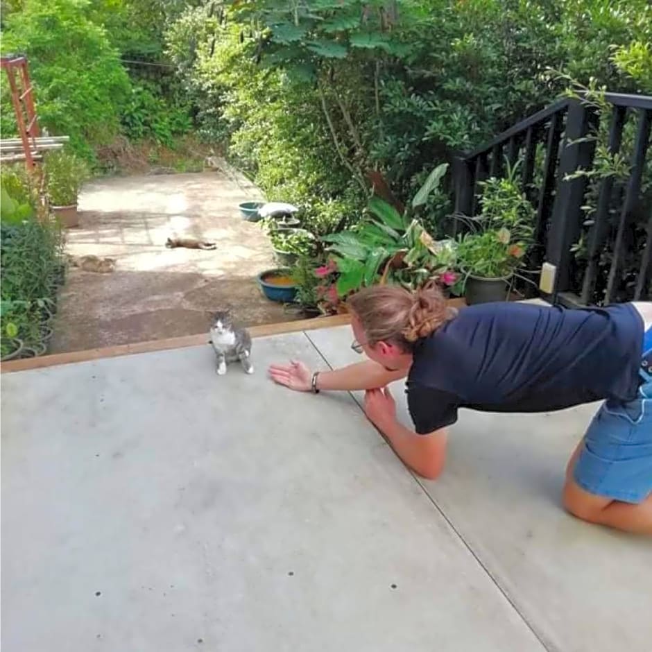 Farm House kohyaoyai