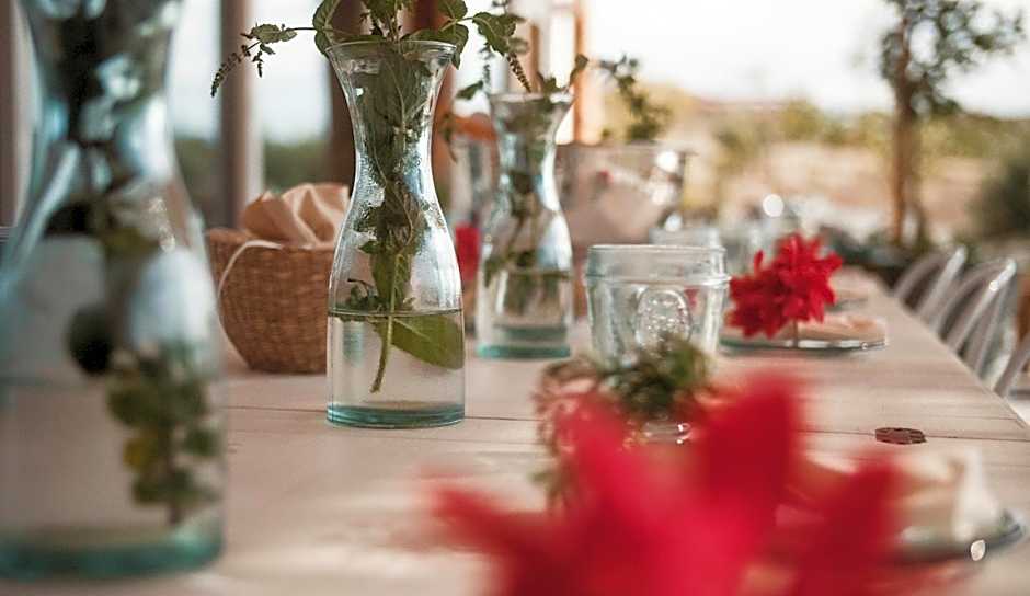 Aelia Wellness Retreat