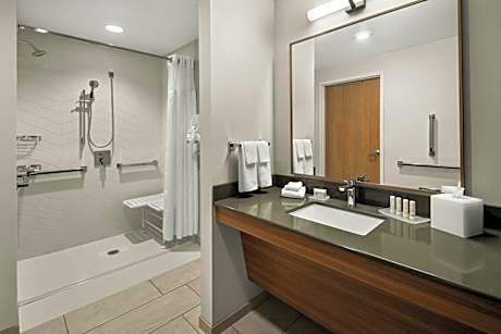 King Suite with Sofa Bed - Hearing Accessible