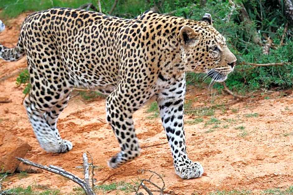 Seven Fountains Farm