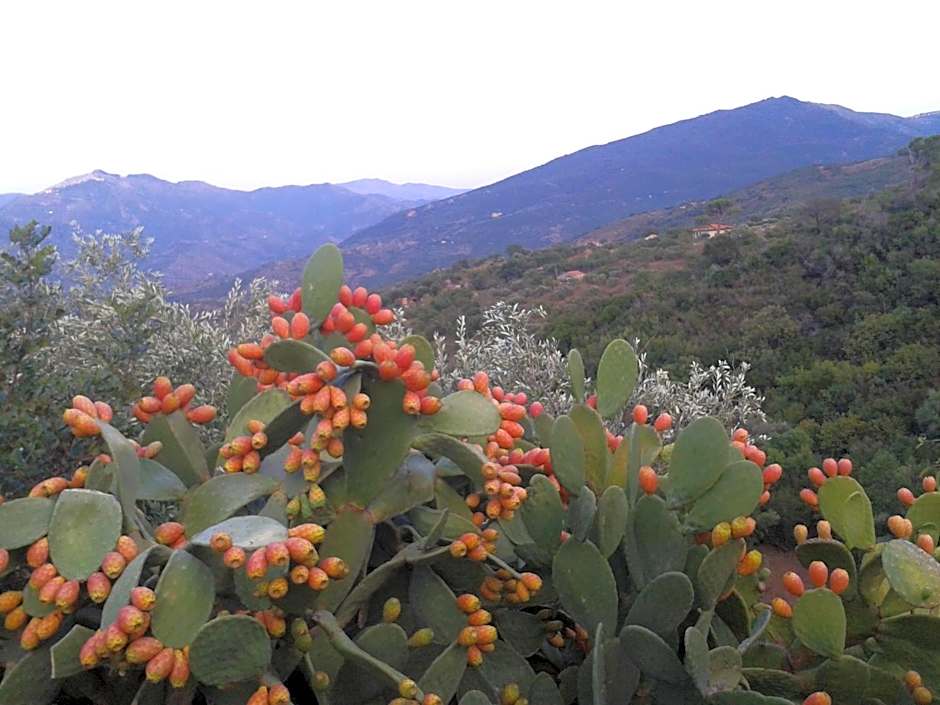 Villaggio dei Balocchi