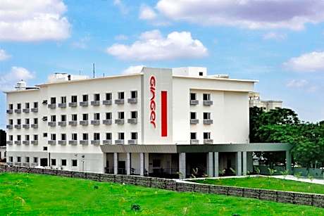 Ginger Tirupur