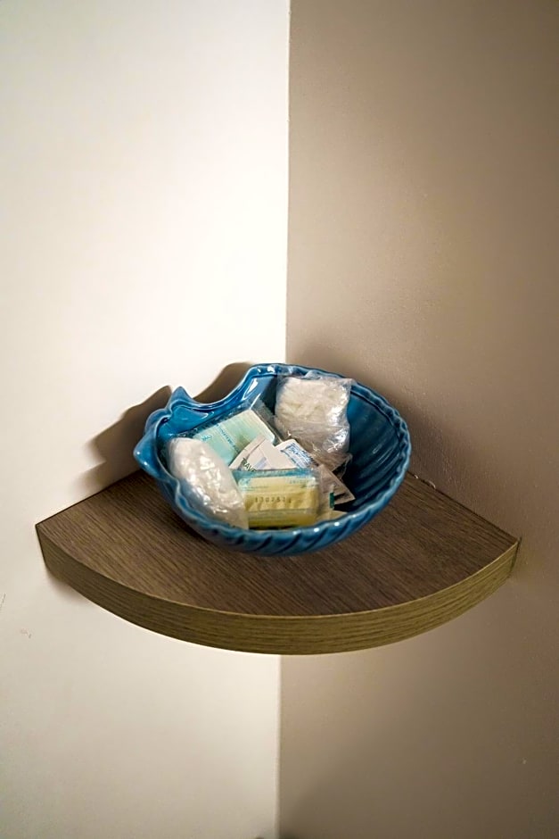 Sansi´s Sapri Camere