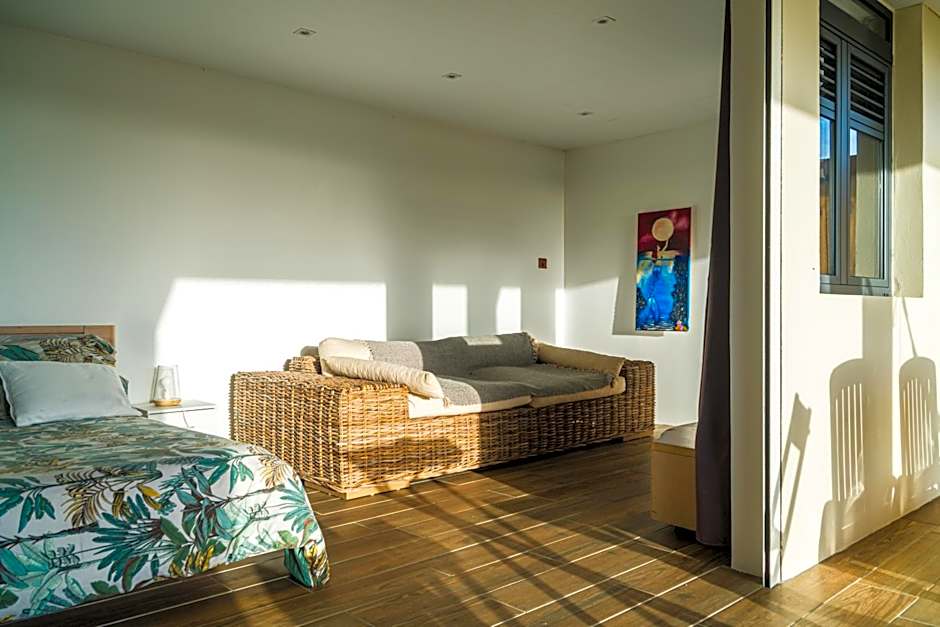 Studio : Écaille de tortue