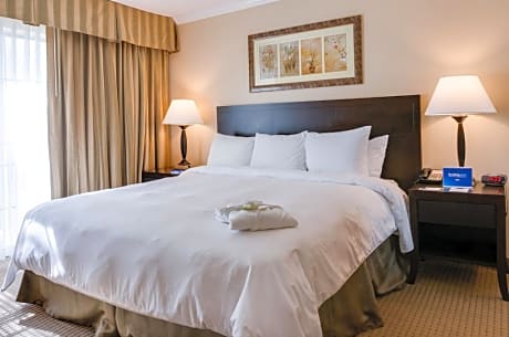 One-Bedroom Suite with Sofa Bed