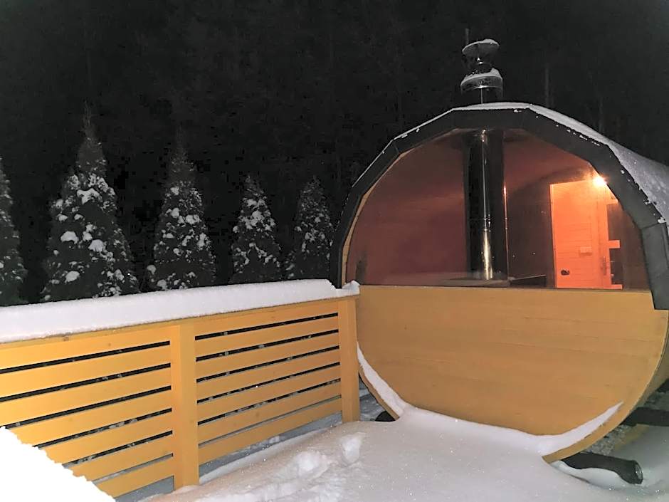 Domki Borowiackie nad brzegiem jeziora