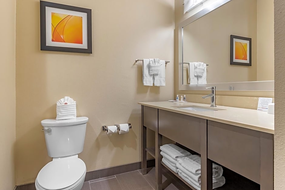 Comfort Suites Near Sam Houston Race Park
