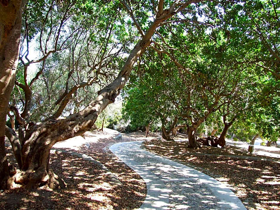 Villaggio Hotel Ripa