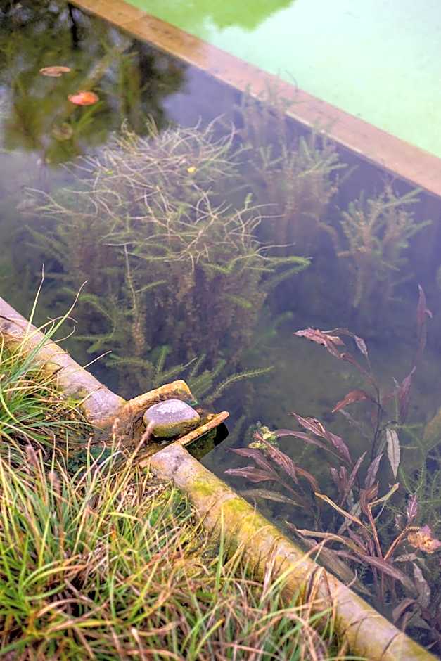 ECOTurisme Can Buch HOTEL