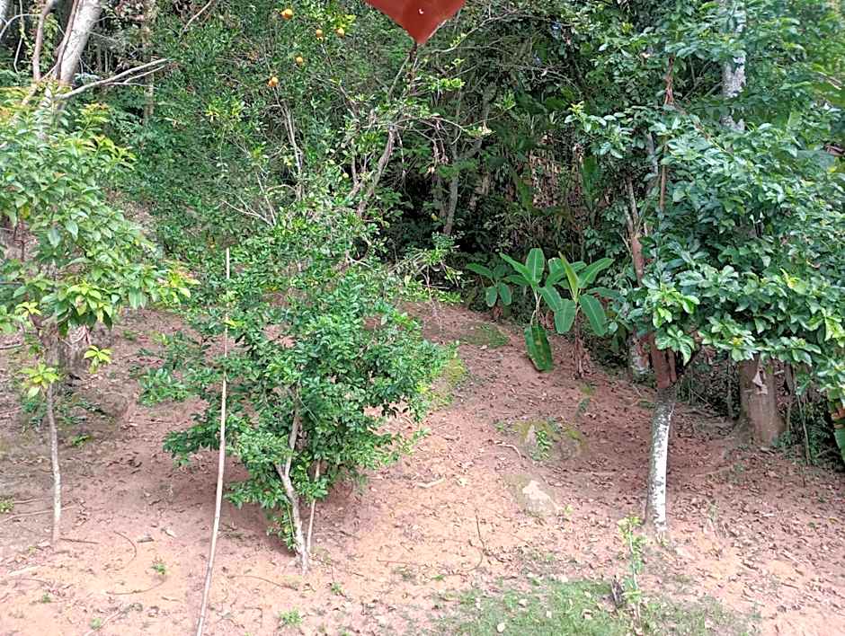 Pousada Floresta verde suítes