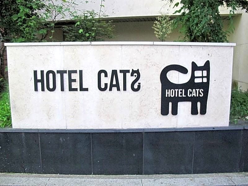 Hotel Cats Suwon