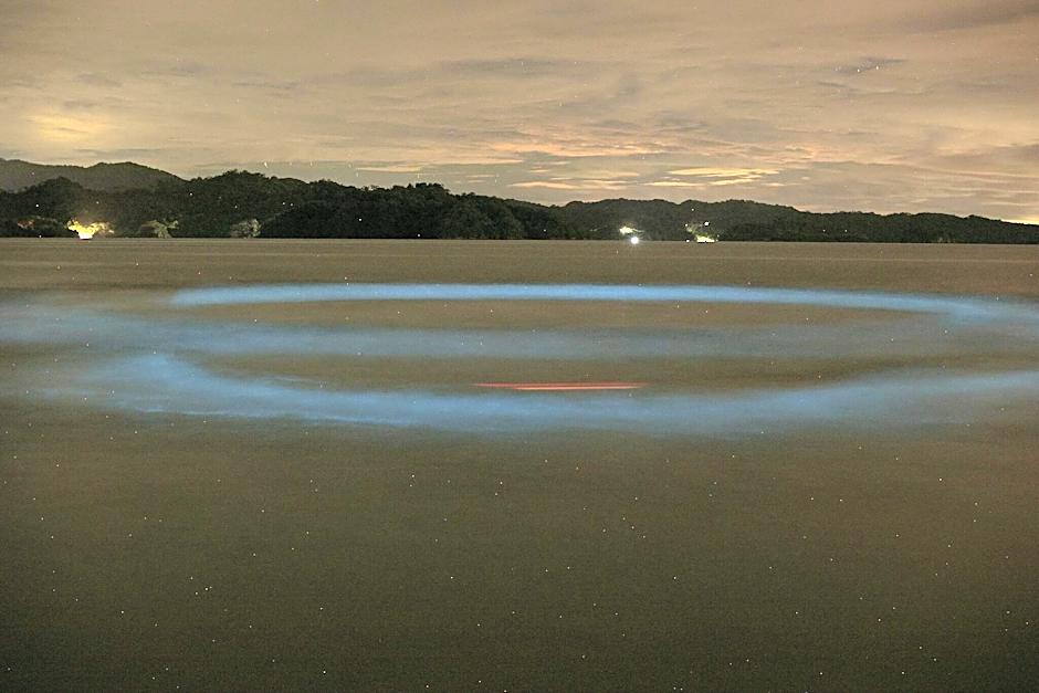 Isla Chiquita Gampling