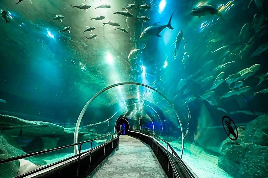 Copacabana Lux: Sophistication and Comfort for 5