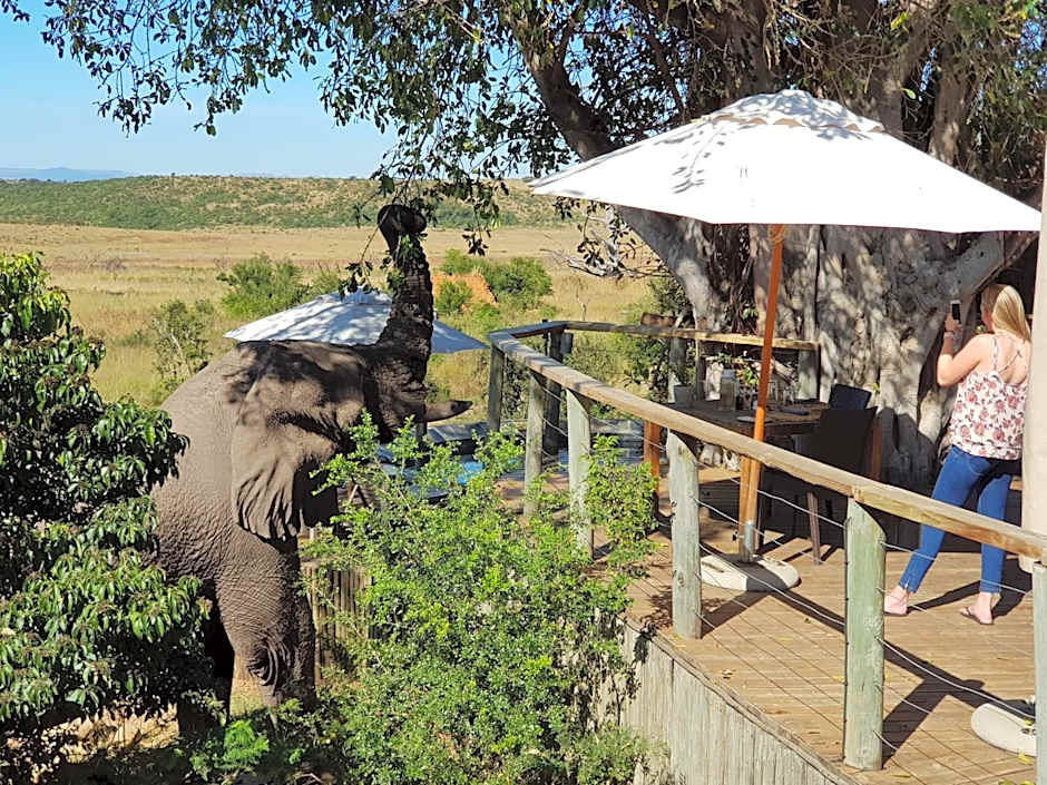 Nambiti Plains Lodge