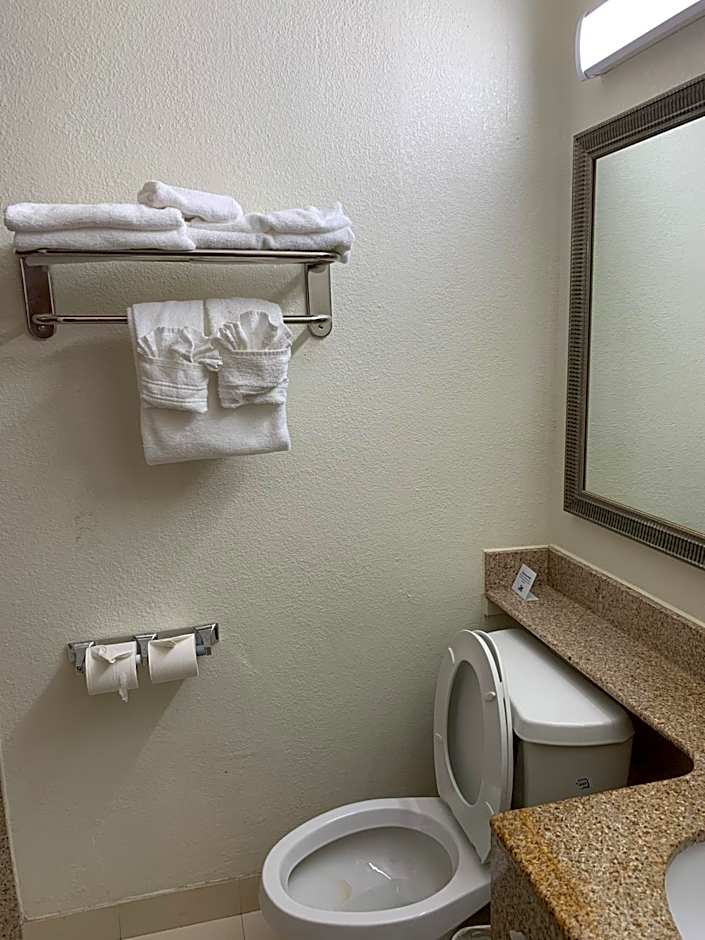 Super 8 by Wyndham Beaumont I-10 South/College St