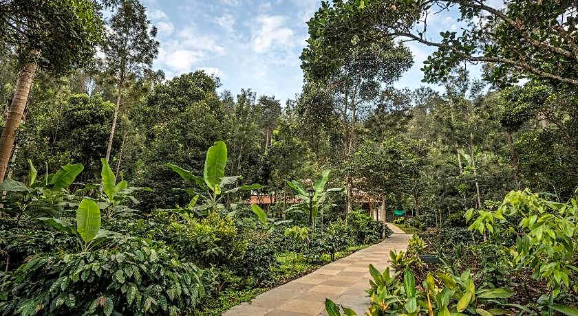 Tree of Life Shambala, Yercaud