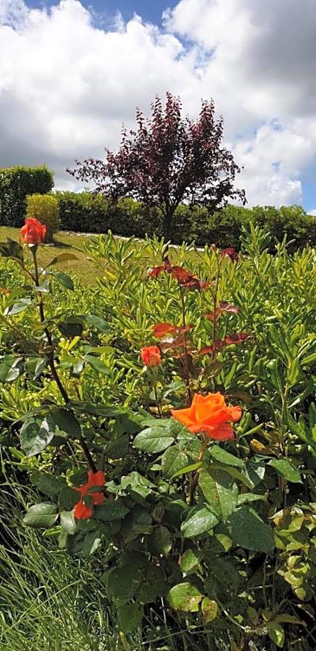 Cà RosannA