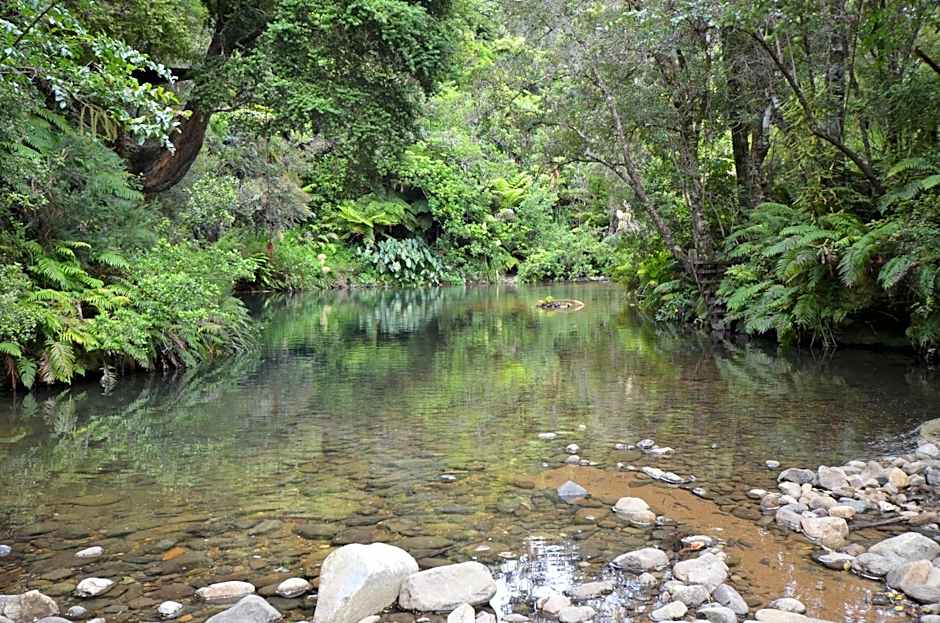 Wairua Lodge - Rainforest River Retreat