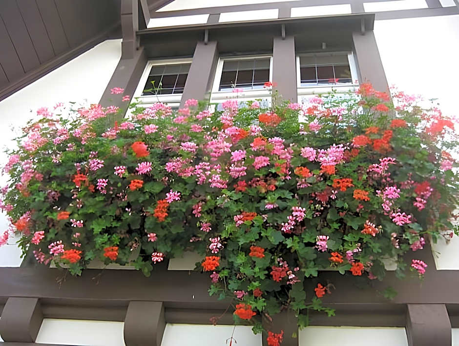 Boutique Hotel Waldhaus beider Basel