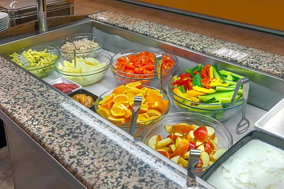 Congress & Wellness Hotel Olsanka