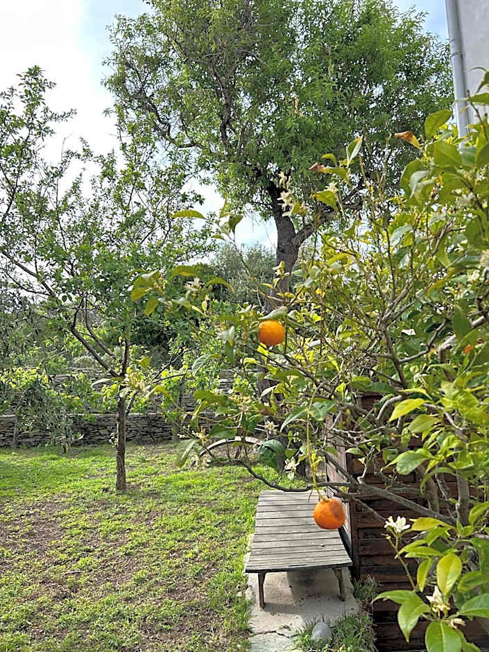 Hôtel Restaurant Petra Cinta