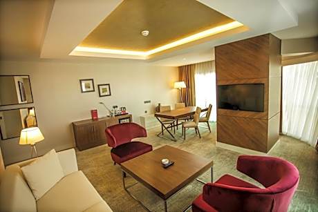 Deluxe Business King Room - Smoking