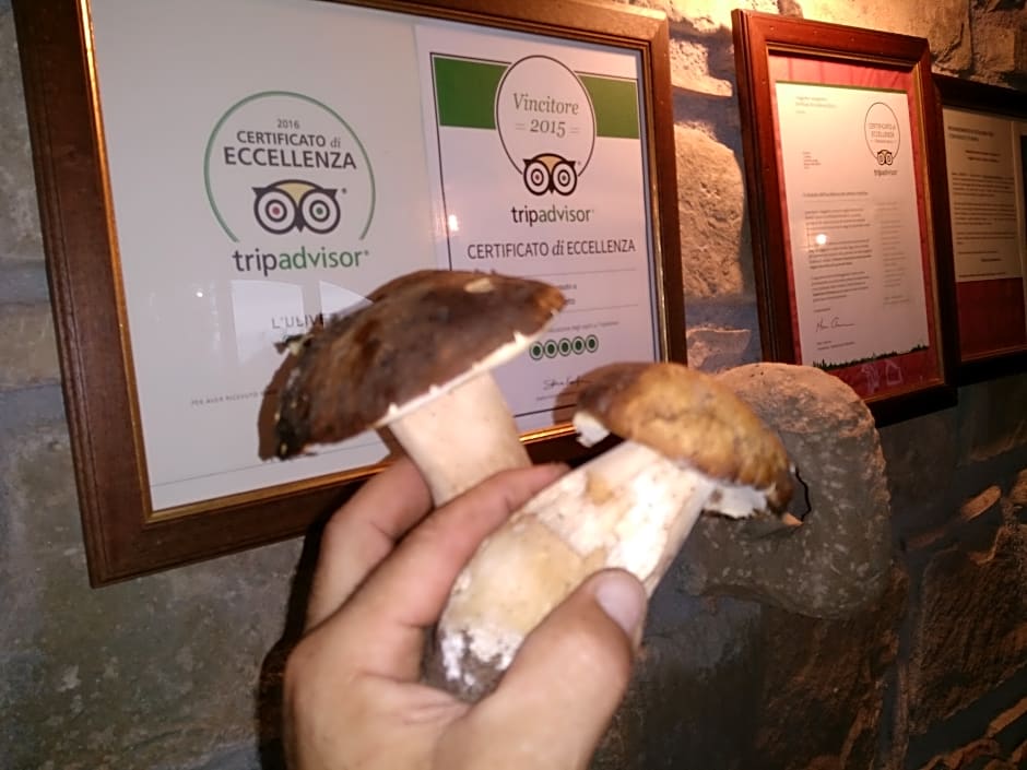 Agriturismo L'Uliveto