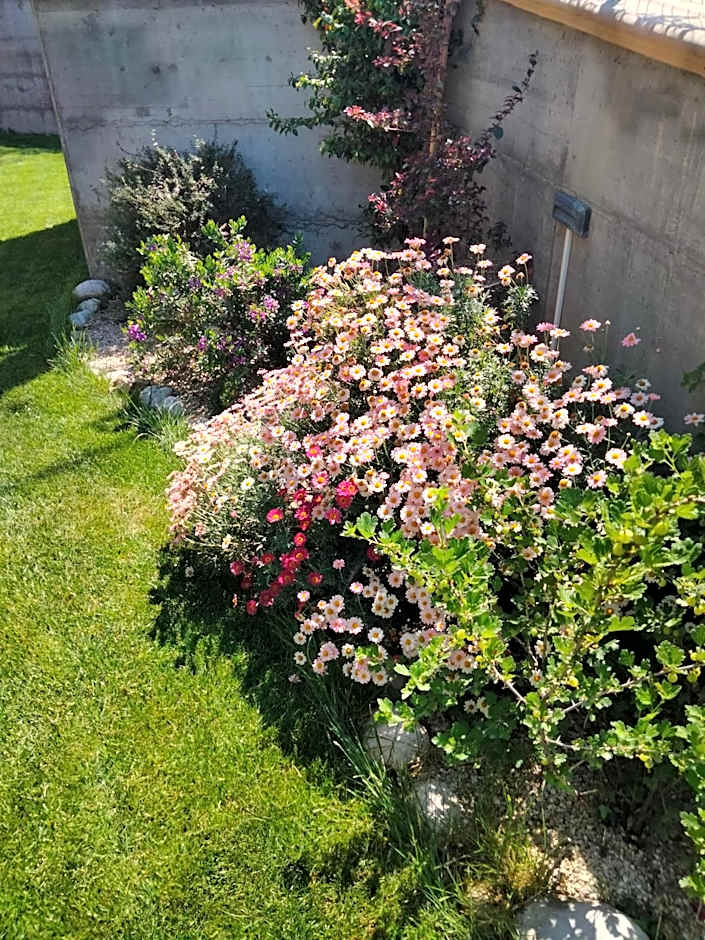 B&B La Casa di Giuliana