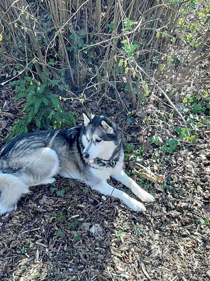 B&B Chatelet Cremers