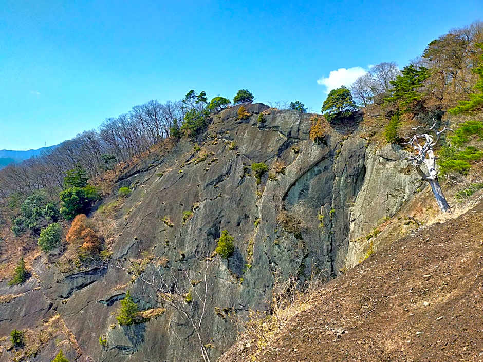 Toyoko Inn Fujisan Otsuki-eki