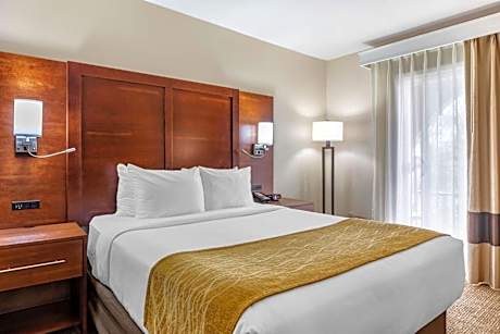 Standard Room, 1 Queen Bed, Non Smoking