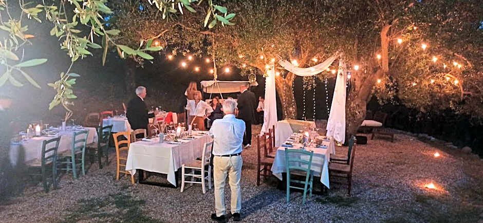 Tenuta Terre di Bosco Oasi di Relax nel Cilento