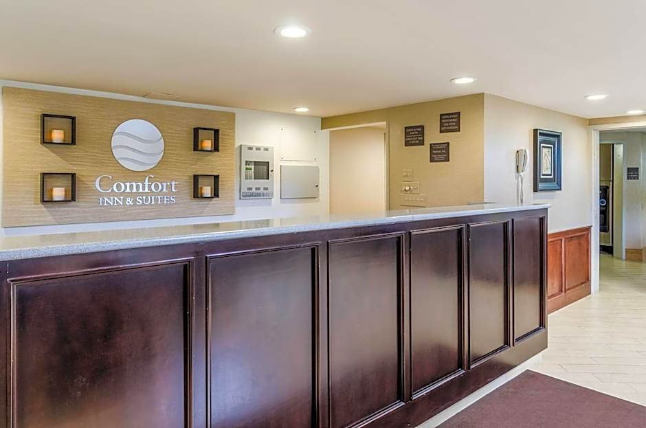 Comfort Inn & Suites West Springfield