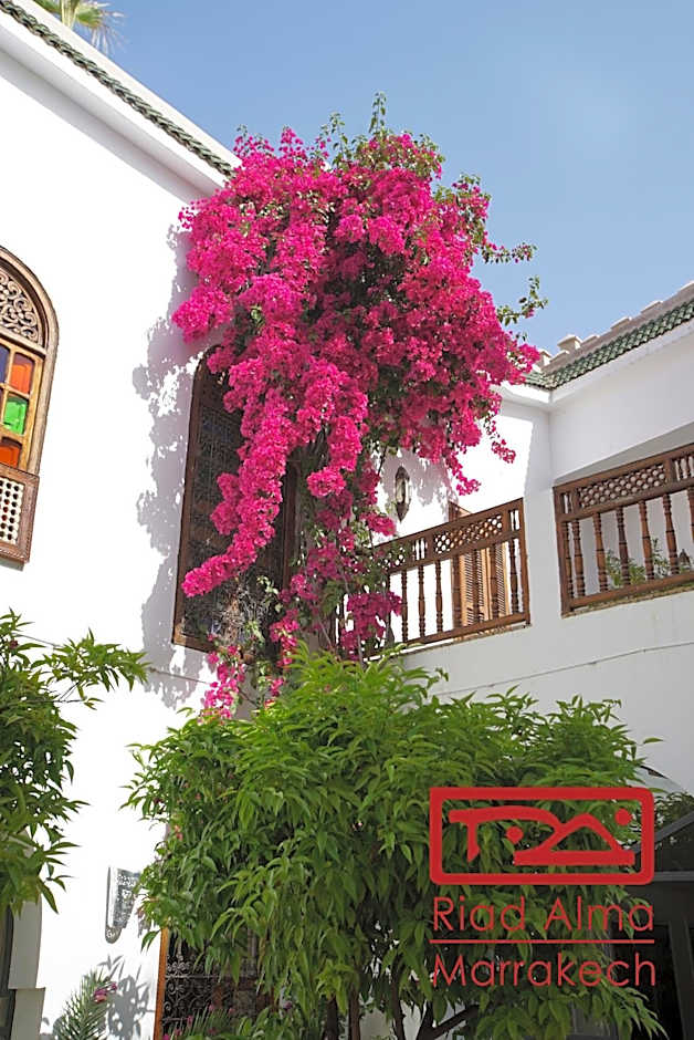 Riad Alma