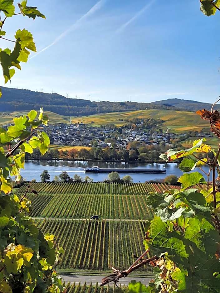 Weingut Weich