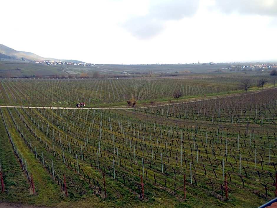 Weinhotel Kienle