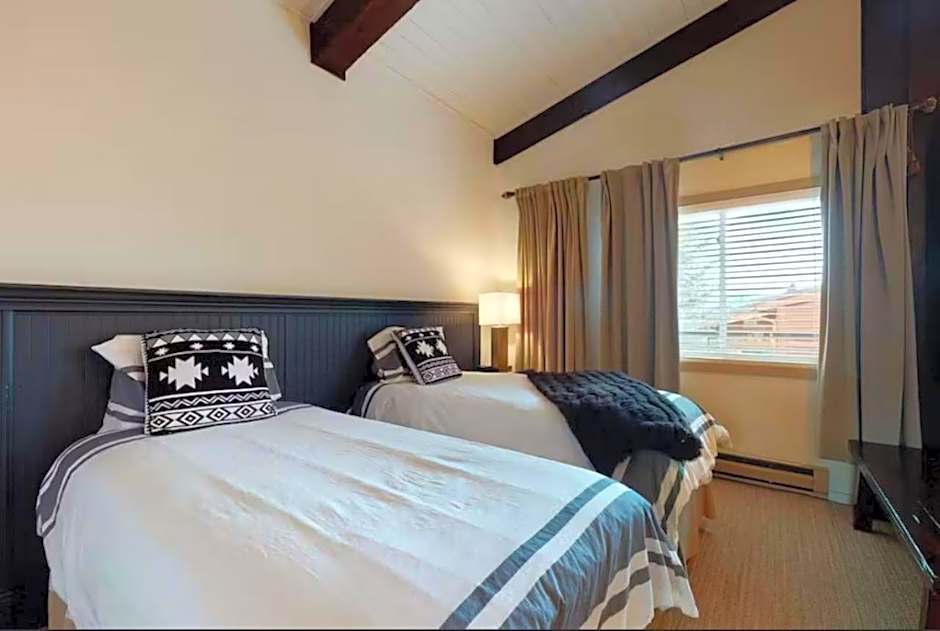 Enclave 309, Snowmass Ski-In/Ski-Out Condo w/Shared Pool/Hot Tub/Private Washer/Dryer/Gym/WiFi