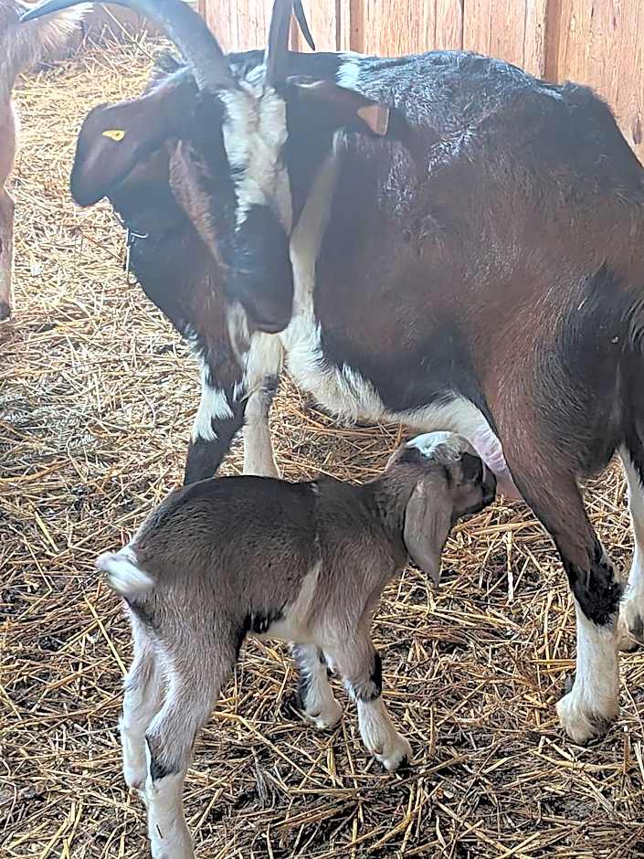 terroir de familles