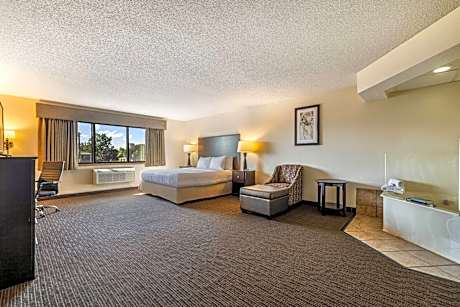 1 King Bed Studio Deluxe Suite Non-Smoking