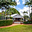 Cedia at Byron Bay Hinterland