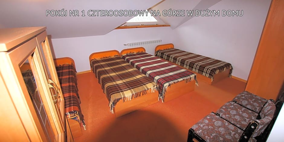 Bieszczady Sosnowa Aleja