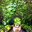 Hacienda San Jose Cholul By IHG