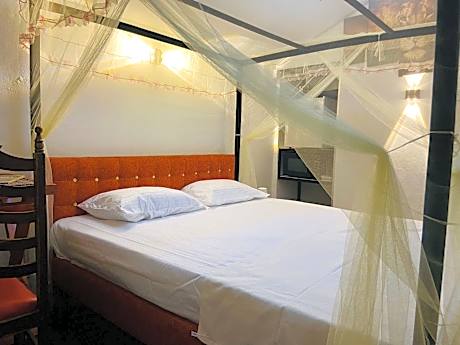 weligama lions villa 