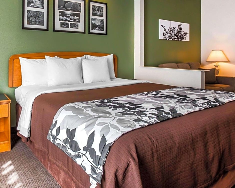 Sleep Inn & Suites Albemarle