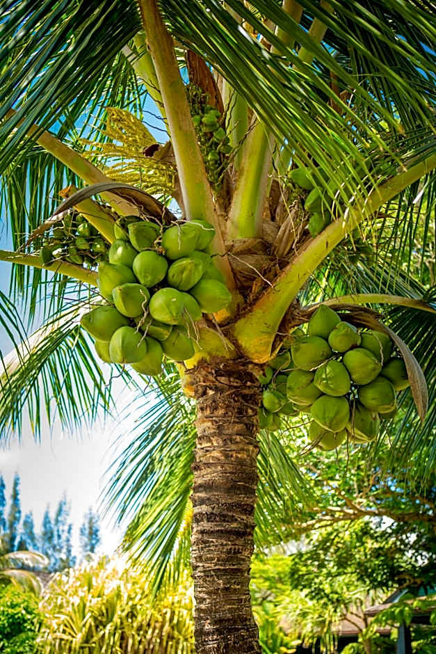 Lumeria Maui, Educational Retreat Center